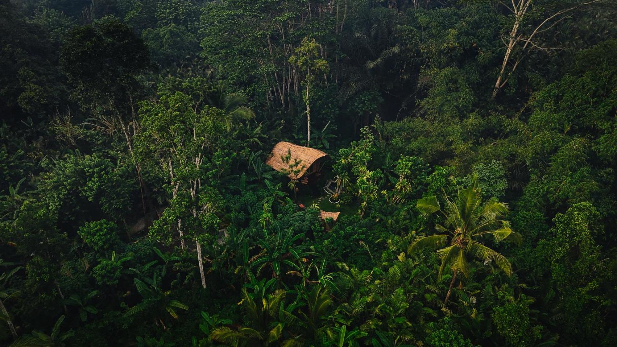 Arcada Bali Bamboo House Villa Sidemen  Eksteriør bilde