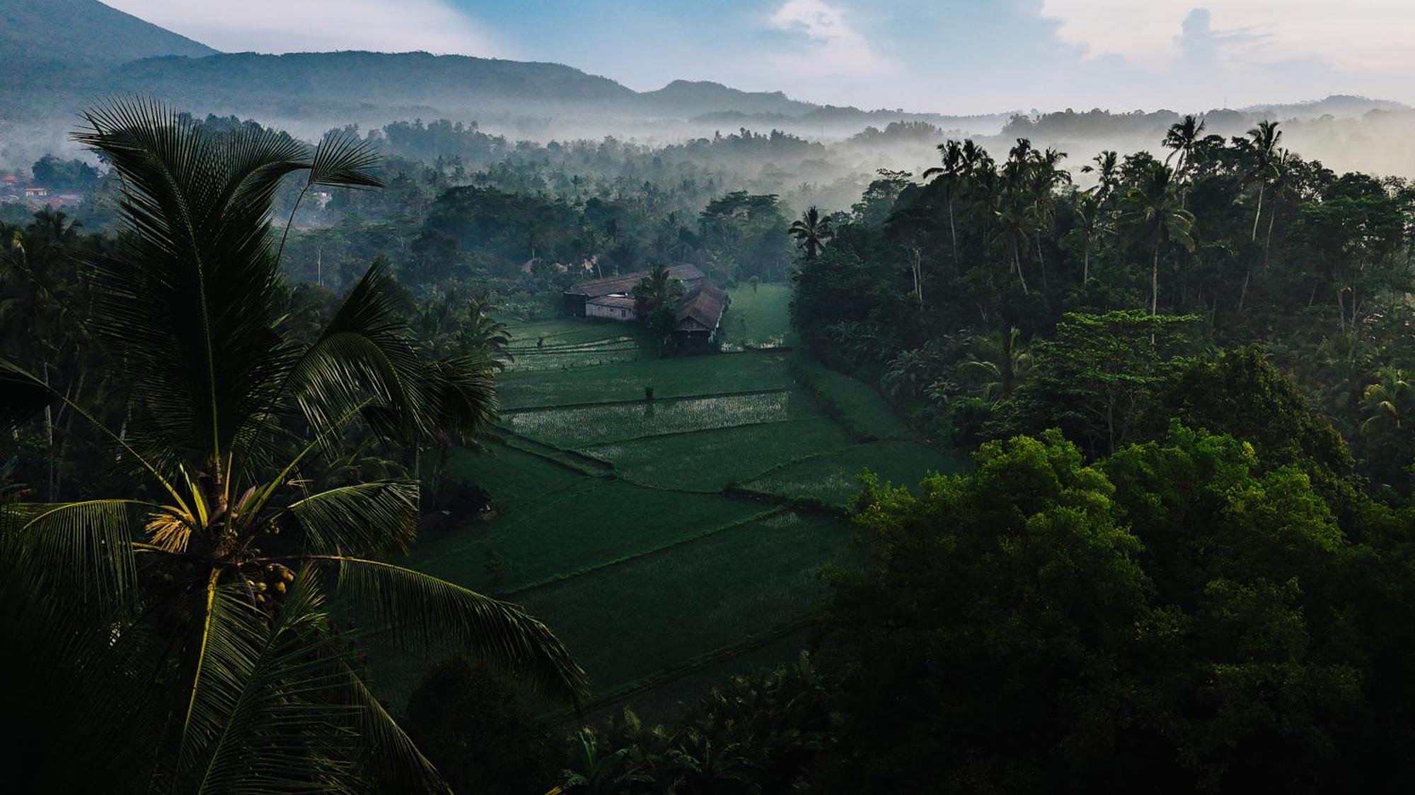 Arcada Bali Bamboo House Villa Sidemen  Eksteriør bilde