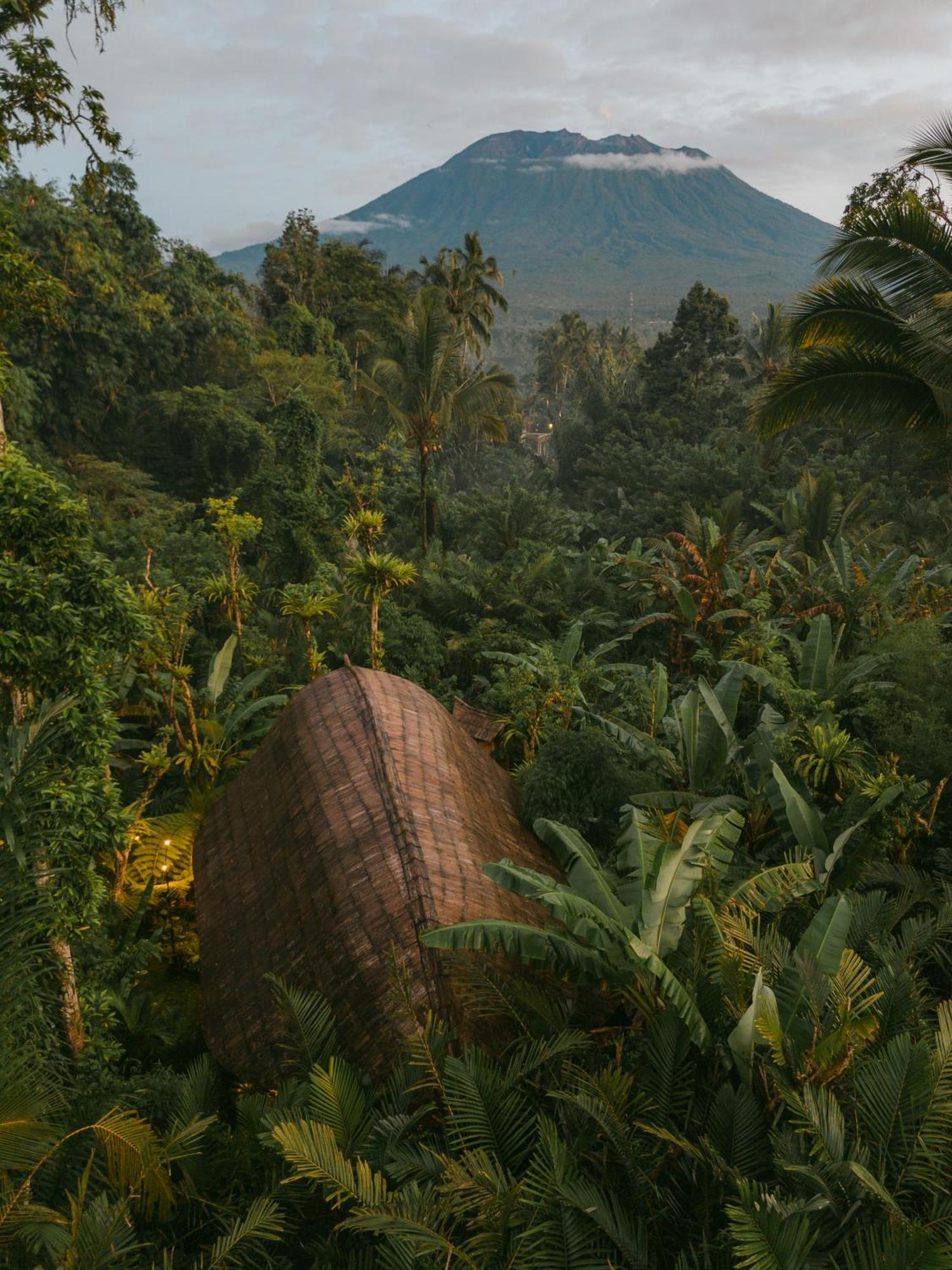 Arcada Bali Bamboo House Villa Sidemen  Eksteriør bilde